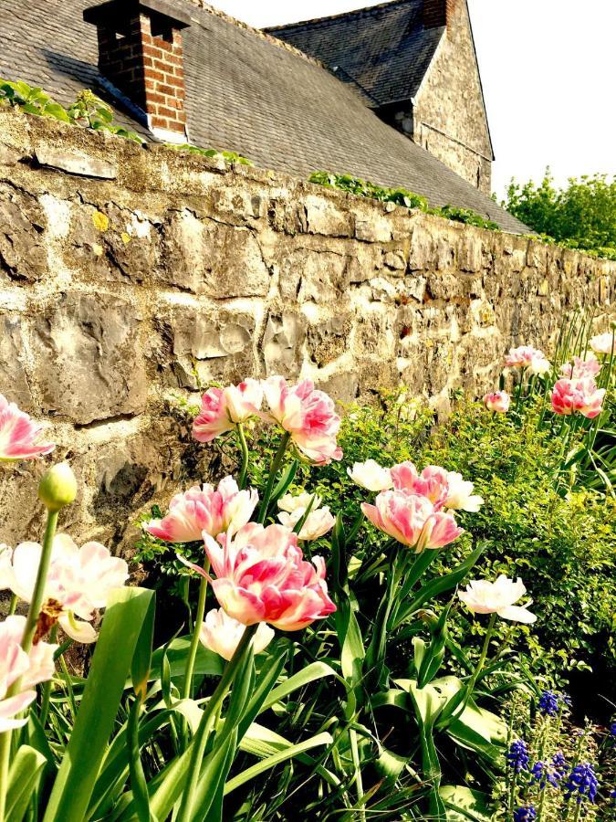 Gite La Petite Beurrerie Des Ardennes Celles  ภายนอก รูปภาพ