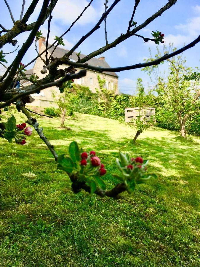 Gite La Petite Beurrerie Des Ardennes Celles  ภายนอก รูปภาพ