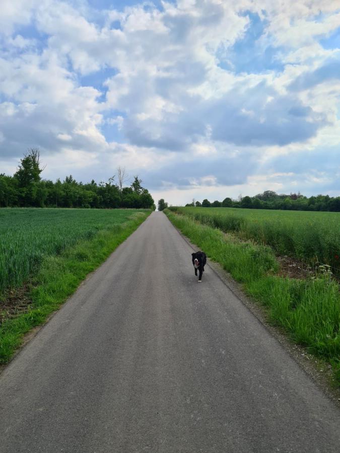 Gite La Petite Beurrerie Des Ardennes Celles  ภายนอก รูปภาพ