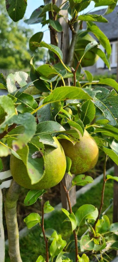 Gite La Petite Beurrerie Des Ardennes Celles  ภายนอก รูปภาพ