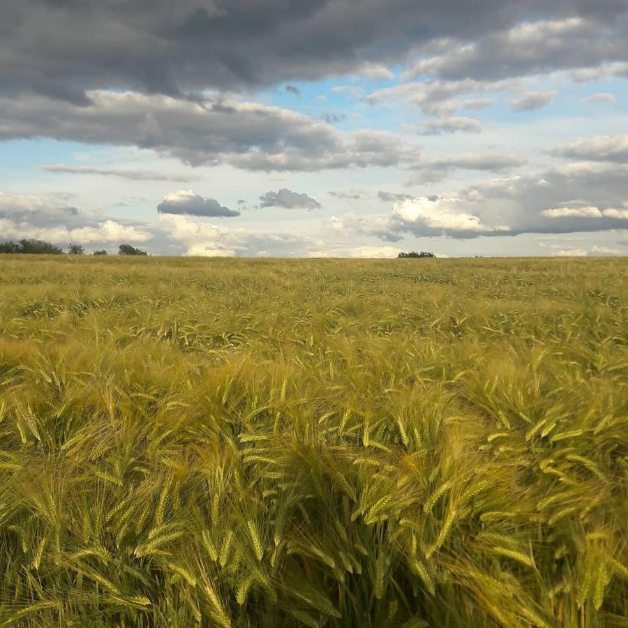 Gite La Petite Beurrerie Des Ardennes Celles  ภายนอก รูปภาพ