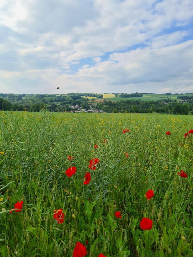 Gite La Petite Beurrerie Des Ardennes Celles  ภายนอก รูปภาพ