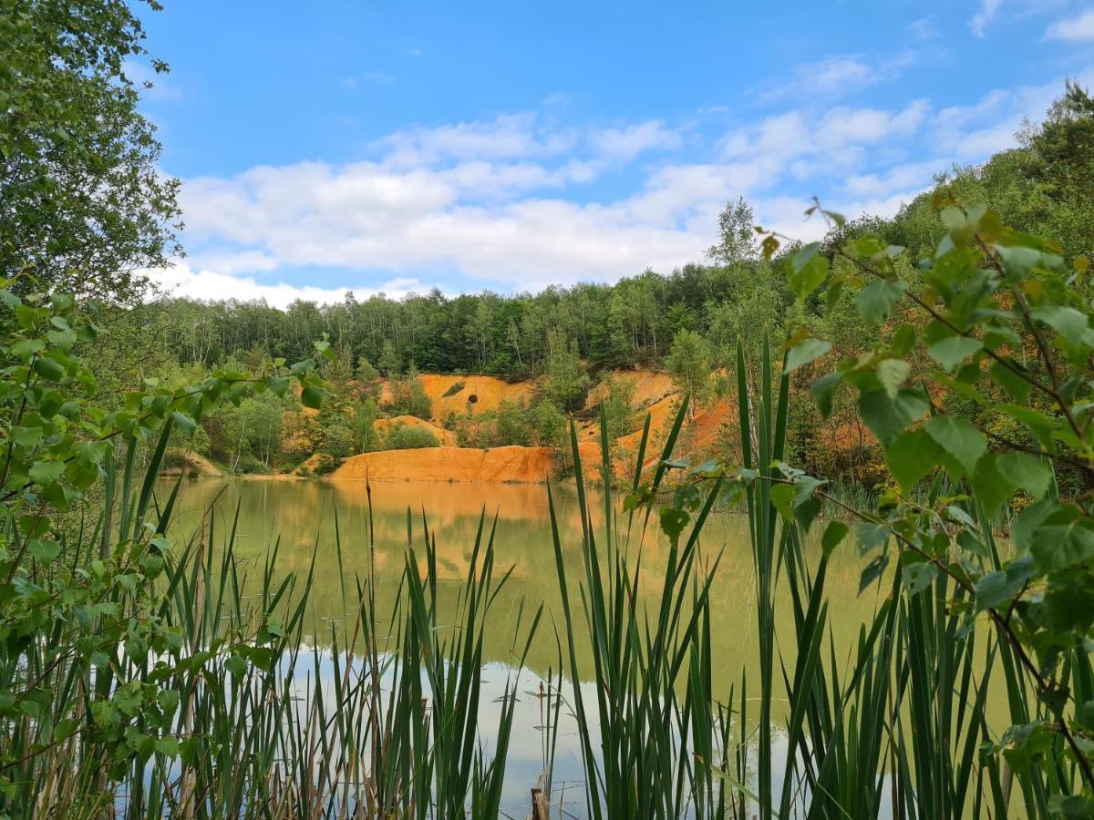 Gite La Petite Beurrerie Des Ardennes Celles  ภายนอก รูปภาพ
