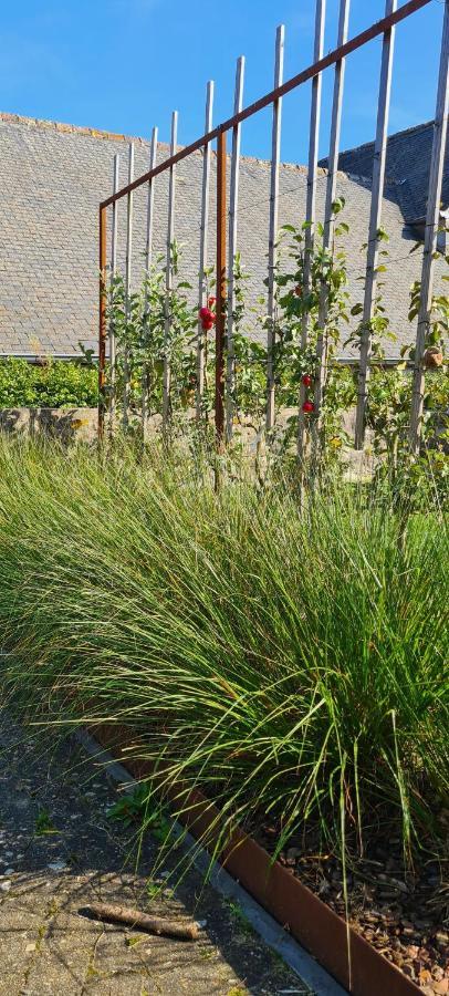 Gite La Petite Beurrerie Des Ardennes Celles  ภายนอก รูปภาพ